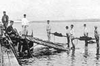 Отдых в Крыму