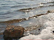 Отдых в Саках