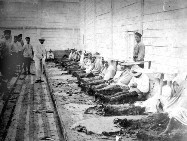 Отдых в Крыму